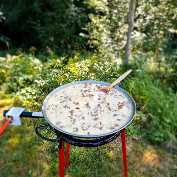 Vaello Paellaset 38 cm i skogen med kantarellrisoni-otto