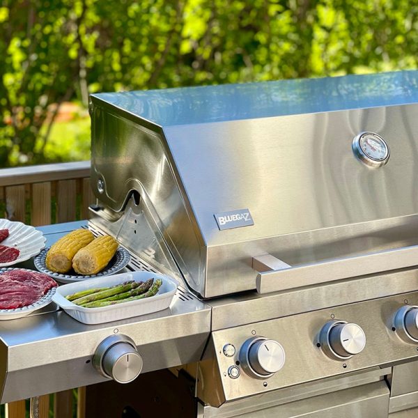 Bluegaz Z501 Gasolgrill rostfri - Bild 25