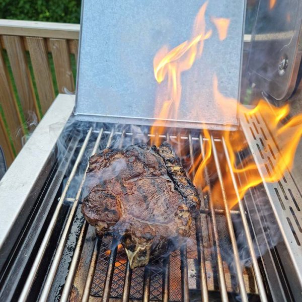 Bluegaz Z501 Gasolgrill rostfri - Bild 28