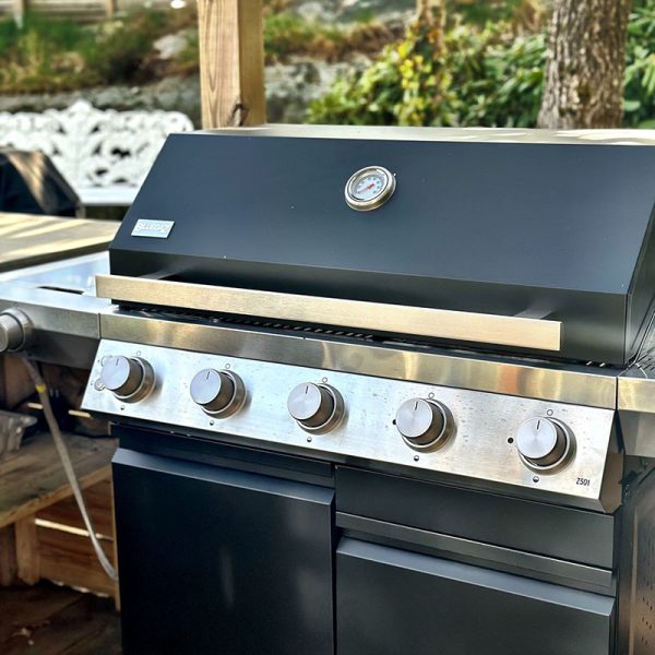 Bluegaz Z501 Gasolgrill svart - Bild 10